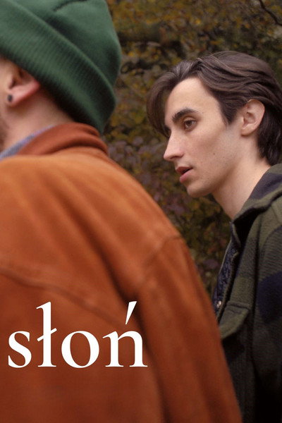 Póster de Elephant