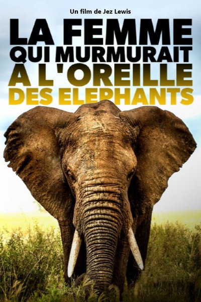 Póster de Elephant Mother