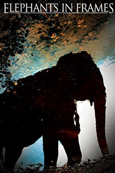Póster de Elephant Power
