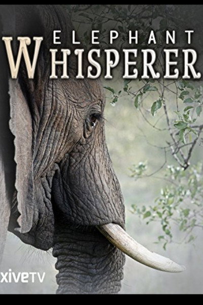 Póster de Elephant Whisperer