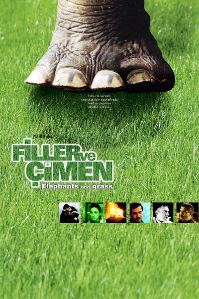 Póster de Elephants and Grass