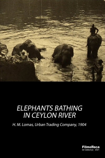 Póster de Elephants Bathing in Ceylon River