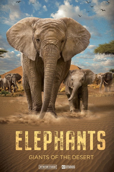 Póster de Elephants: Giants of the Desert
