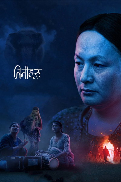 Póster de Elephants in the Fog
