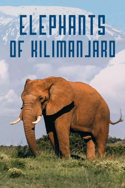 Póster de Elephants of Kilimanjaro