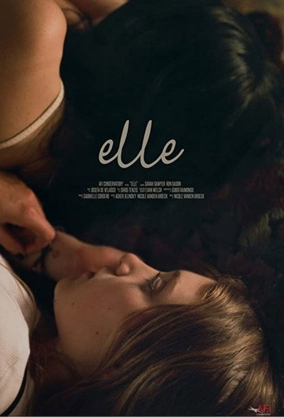 Póster de Elle
