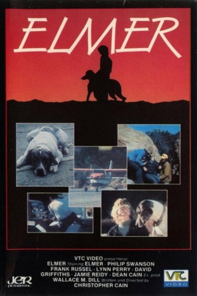 Póster de Elmer