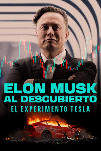 Póster de Elon Musk al descubierto