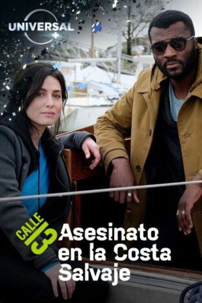 Póster de Els misteris de la marea