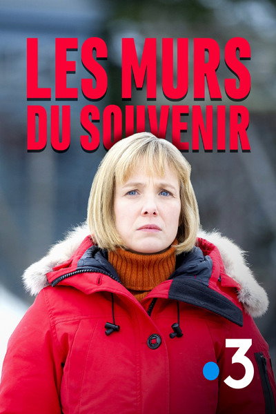 Póster de Els murs del record
