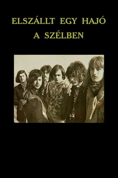 Póster de Elszállt egy hajó