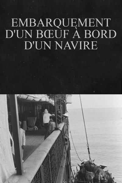 Póster de Embarquement d'un boeuf à bord d'un navire