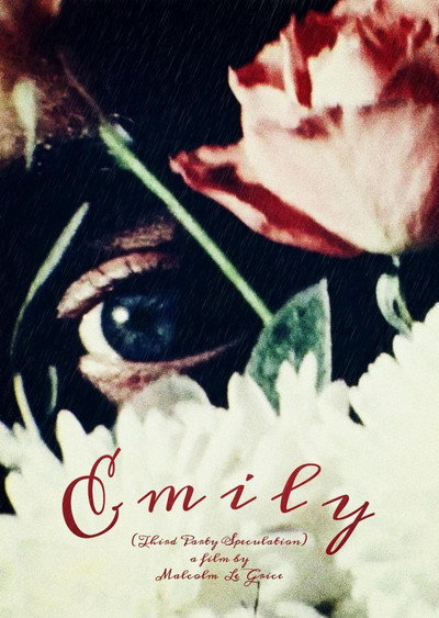 Póster de Emily: Third Party Speculation
