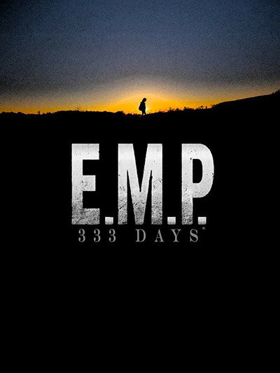 Póster de E.M.P.: 333 Days