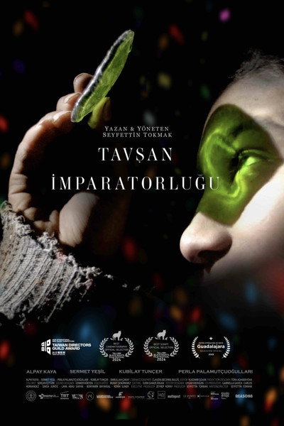Póster de Empire of the Rabbits