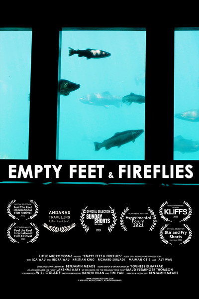 Póster de Empty Feet & Fireflies
