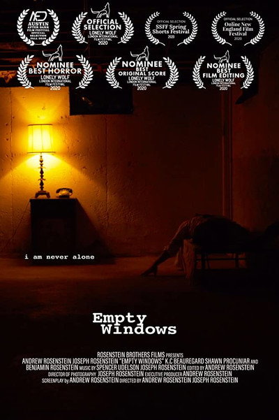 Póster de Empty Windows