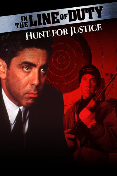 Póster de En busca de justicia