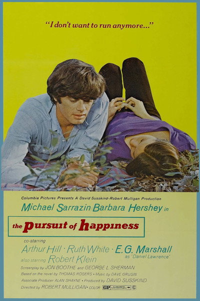 Póster de En busca de la felicidad