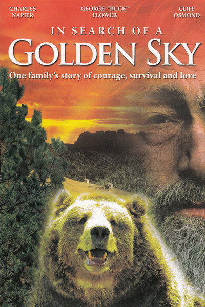 Póster de En busca del cielo dorado