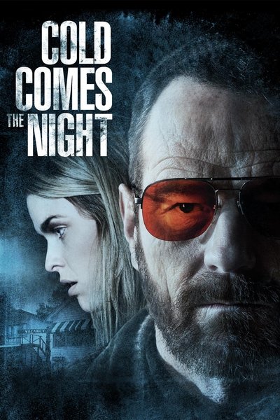Póster de En el frío de la noche