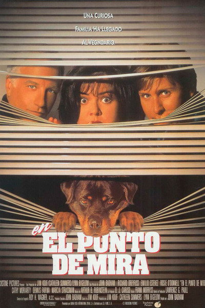 Póster de En el punto de mira
