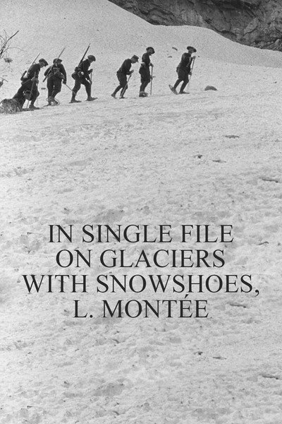 Póster de En file indienne sur les glaciers avec les raquettes, montée