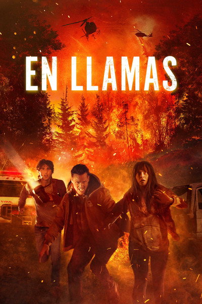 Póster de En flames