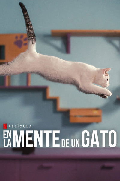 Póster de En la mente de un gato