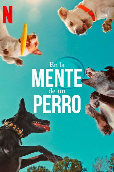 Póster de En la mente de un perro