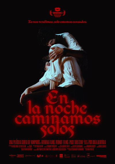 Póster de En la noche caminamos solos