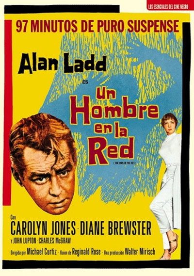 Póster de En la red de una mentira