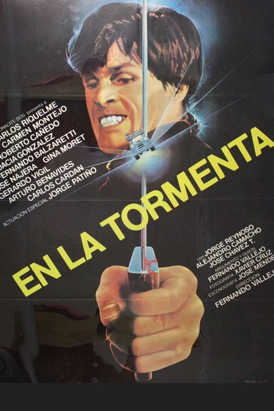 Póster de En la tormenta