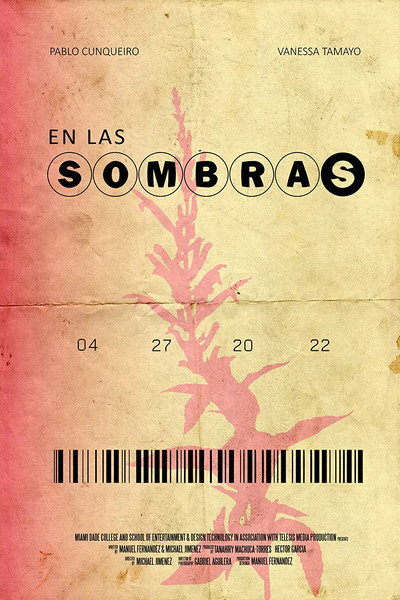 Póster de En Las Sombras