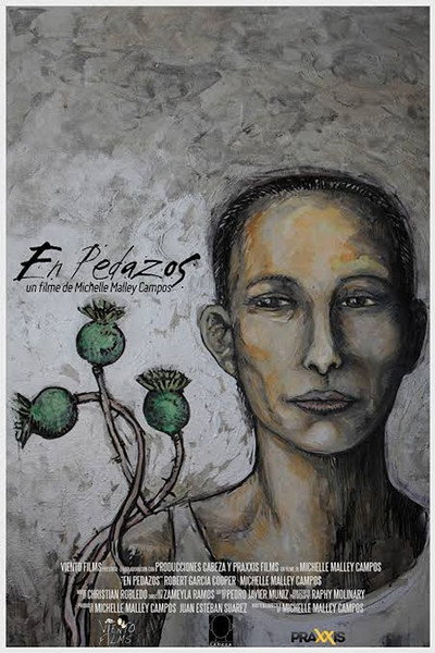 Póster de En Pedazos