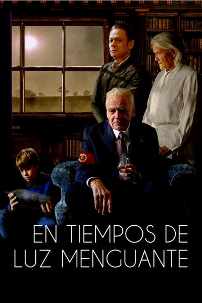 Póster de En tiempos de luz menguante