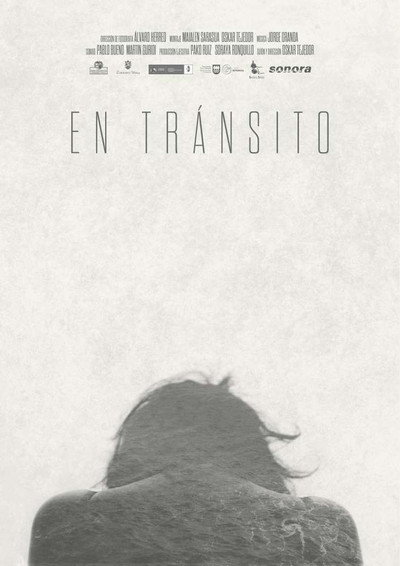 Póster de En transito