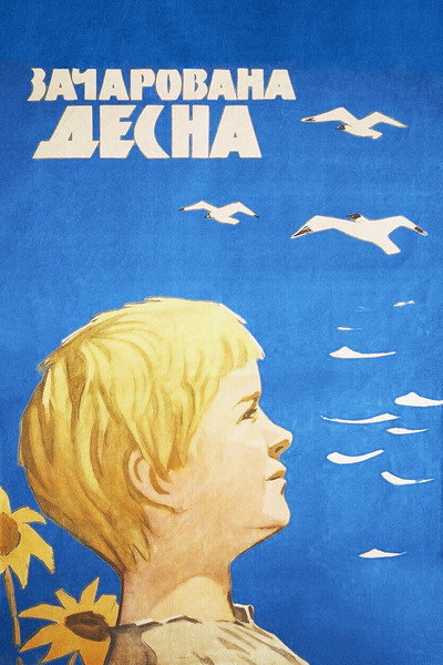 Póster de Enchanted Desna