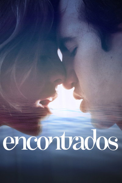 Póster de Encontrados