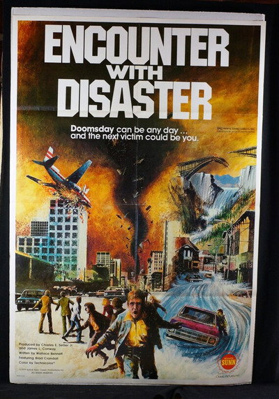 Póster de Encounter with Disaster
