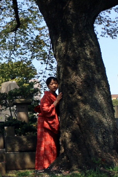 Póster de Encounters with Silence