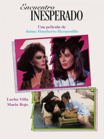 Póster de Encuentro inesperado