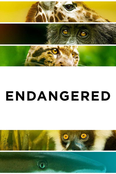 Póster de Endangered