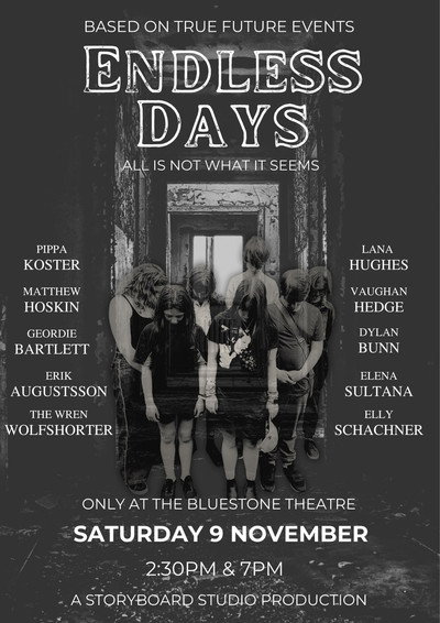 Póster de Endless Days