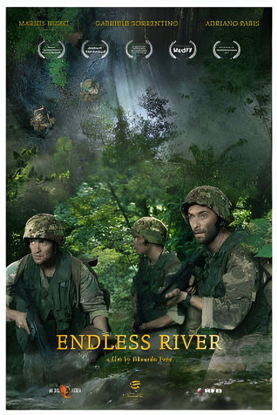 Póster de Endless River