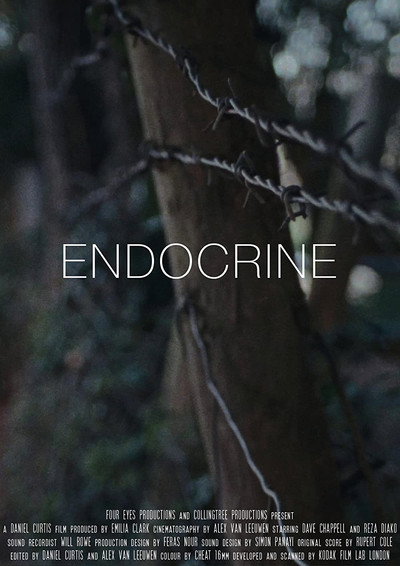 Póster de Endocrine