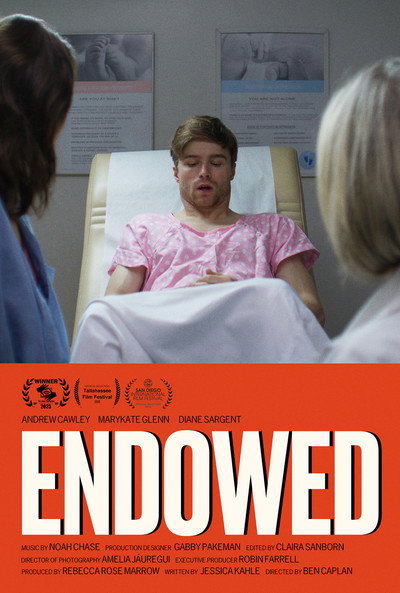 Póster de Endowed