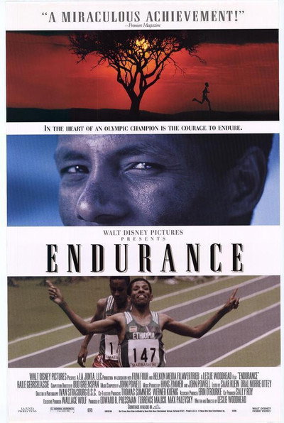 Póster de Endurance
