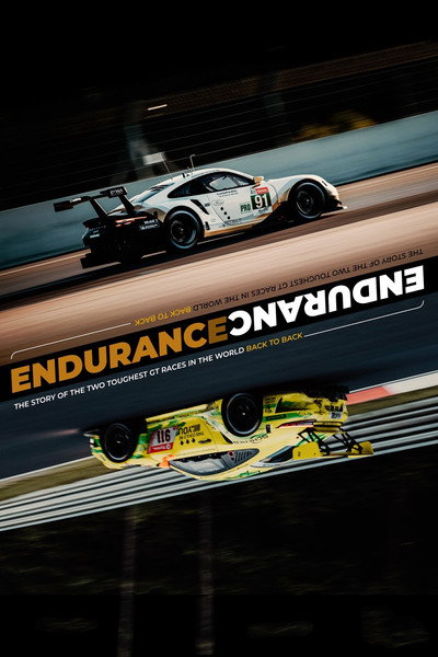 Póster de Endurance