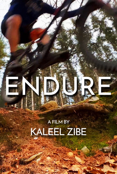 Póster de Endure
